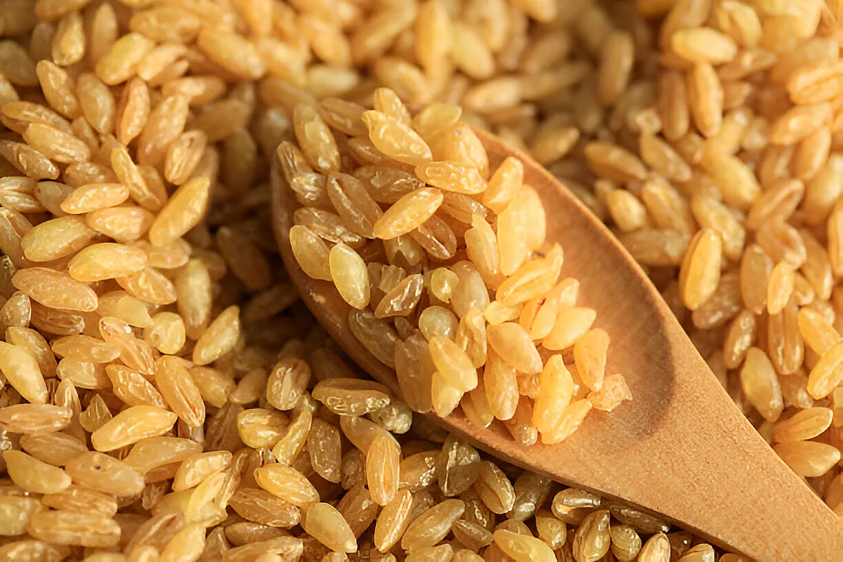 Bulgur Nasıl Üretilir? Doğal ve Sağlıklı Bir Besinin Üretim Yolculuğu Bulgur Nasıl Üretilir? Doğal ve Sağlıklı Bir Besinin Üretim Yolculuğu